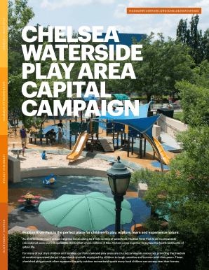 Chelsea Waterside Play Area Capital Campaign