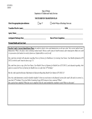 Youth Driven Transition Plan