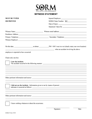 Witness Statement Form