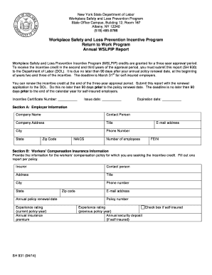 New York State Annual WSLPIP Report