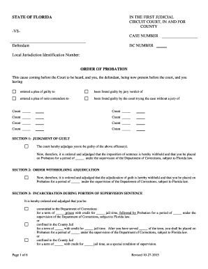 Florida Probation Order