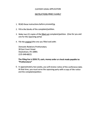 Pennsylvania Custody Petition Form