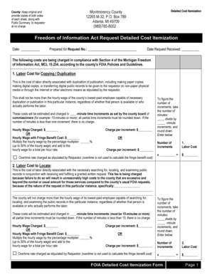 Michigan FOIA Detailed Cost Itemization Form