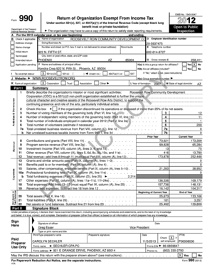 IRS Form 990 2012