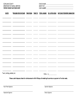 Foster Parent Daycare Sheet