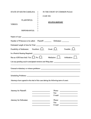 South Carolina Court Status Report