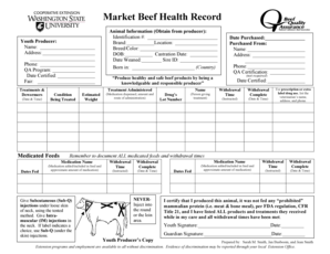 Market Beef Health Record