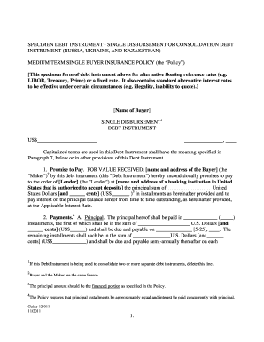 Single Disbursement Debt Instrument