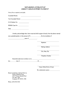 Notarized Affidavit of Direct Child Support Payment