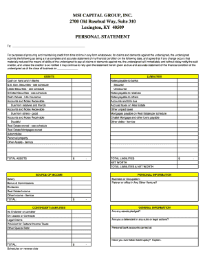 Personal Financial Statement Form