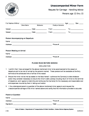 Unaccompanied Minor Form