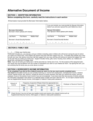 Alternative Document of Income