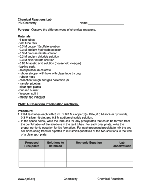 Chemical Reactions Lab