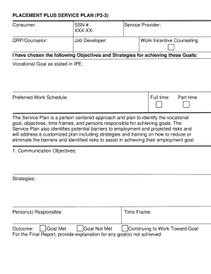 Placement Plus Service Plan P3-3