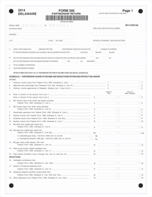 Delaware Partnership Return Form 300