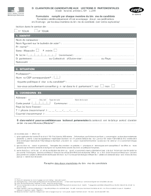 DÉCLARATION DE CANDIDATURE AUX ÉLECTIONS DÉPARTEMENTALES