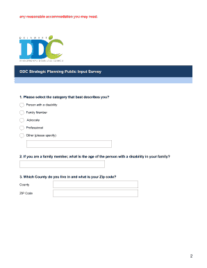 Delaware DDC Strategic Planning Public Input Survey