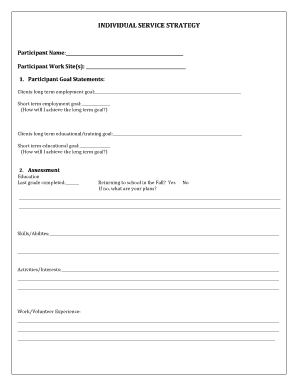 Summer Youth Individual Service Strategy Form