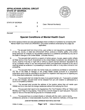 Georgia Mental Health Court Probation Conditions