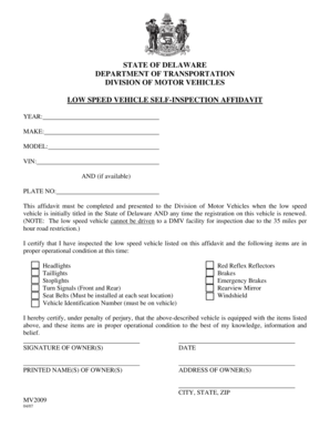 Delaware Low Speed Vehicle Self-Inspection Affidavit
