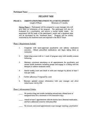 Felony MH Phase 1 Treatment Plan