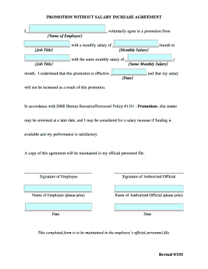 Promotion Without Salary Increase Agreement