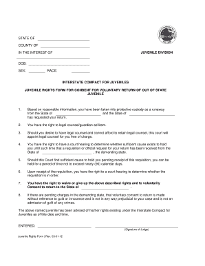 Juvenile Rights Form for Voluntary Return