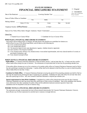 Georgia Financial Disclosure Statement