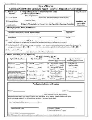 Georgia Campaign Contribution Disclosure Report