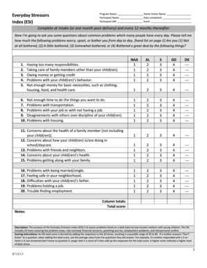 Everyday Stressors Index Form