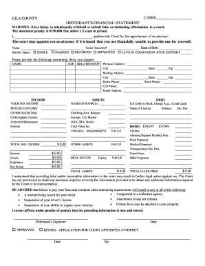 Defendant's Financial Statement