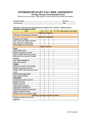 Interdisciplinary Fall Risk Assessment Form