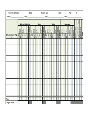 FEMA Disaster Damage Assessment Form