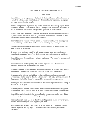 Youth Rights and Responsibilities Form