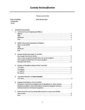 Custody Reclassification Form