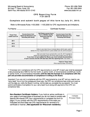 Minnesota CPE Reporting Form