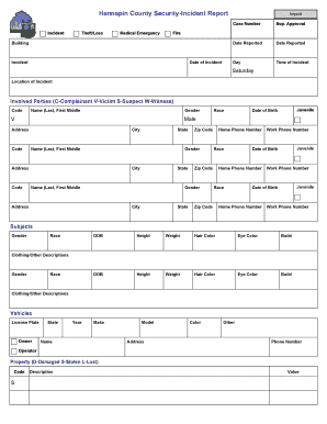 Hennepin County Security-Incident Report