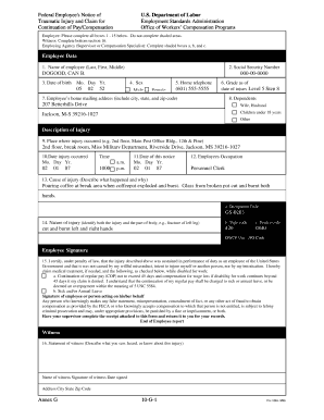 Federal Employee Traumatic Injury Claim Form