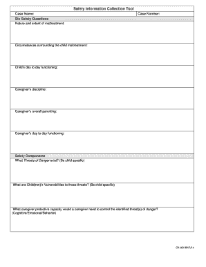 Child Maltreatment Safety Information Collection Tool