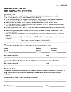 Emergency Solutions Grant Income Declaration Form