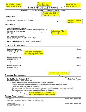 Nursing Resume Template