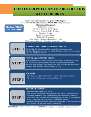 New Mexico Divorce Packet