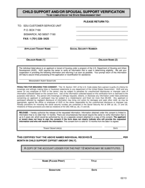 Child Support Verification Form