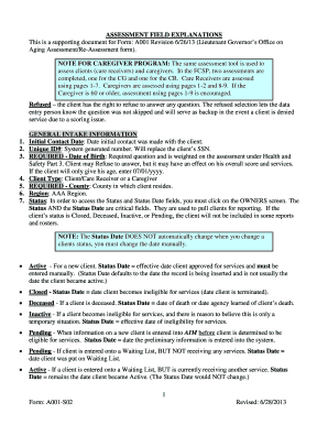 Aging Assessment Form