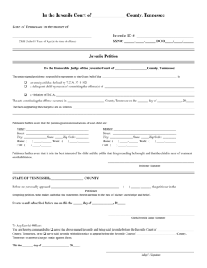 Juvenile Petition Form