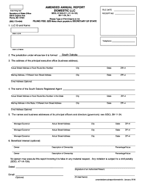 Amended Annual Report for South Dakota Domestic LLC