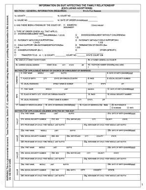 Texas Family Law Suit Information Form