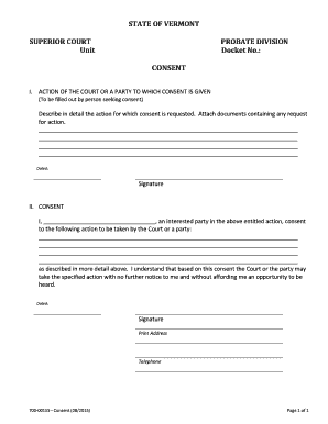Vermont Court Consent Form