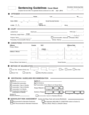 Virginia Sentencing Guidelines Form