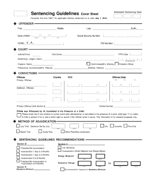 Virginia Sentencing Guidelines Form